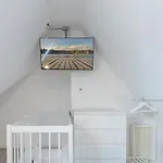 Nemo